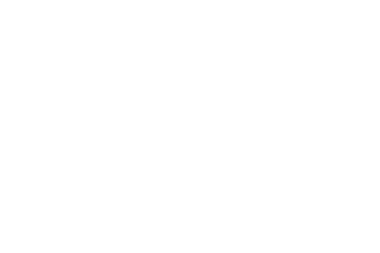 Entreprise Morello